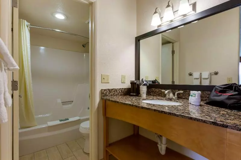 اتاق استاندارد با تخت بزرگ, Best Western Paint Pony Lodge