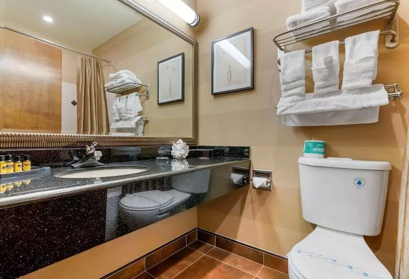 ２ダブルベッドのスタンダードルーム, Best Western Plus Brookside Inn