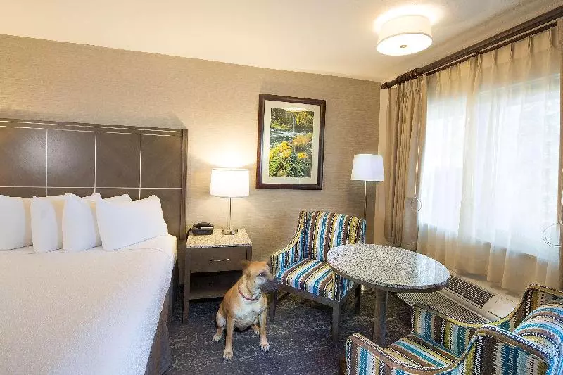 キングサイズベッドのスタンダードルーム, Best Western Plus Hilltop Inn