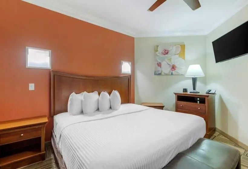 ハイドロマッサージバス付きスイート, Best Western Plus Loveland Inn