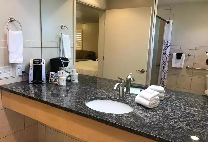 سوئیت برای معلولان, Dinosaur Inn & Suites