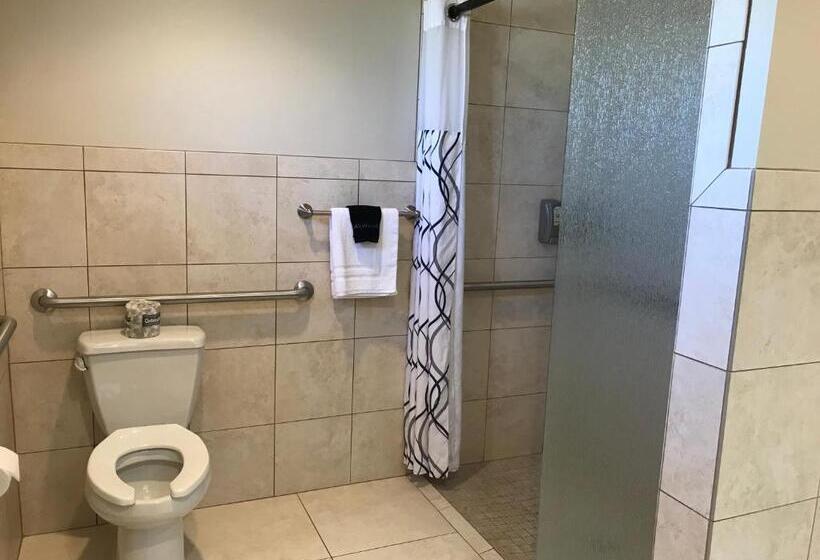 جناح لذوى الاحتياجات الخاصة, Dinosaur Inn & Suites