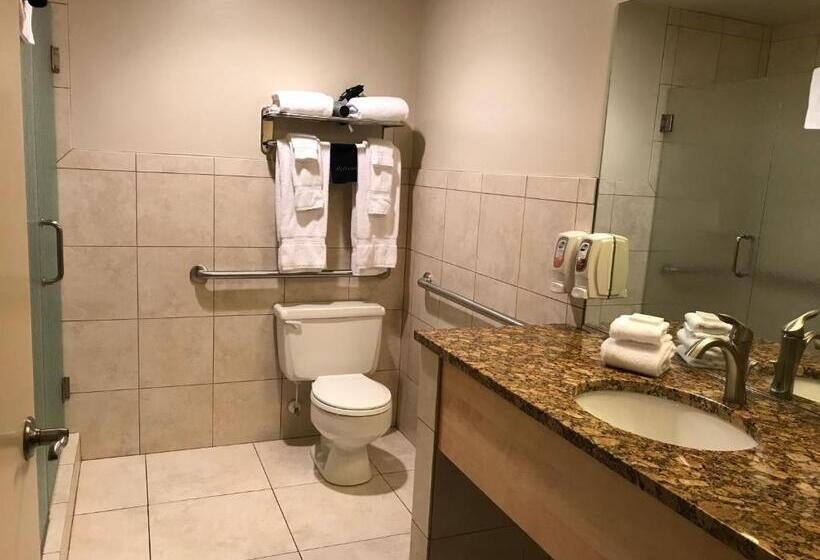 غرفة قياسية لذوى الاحتياجات الخاصة, Dinosaur Inn & Suites