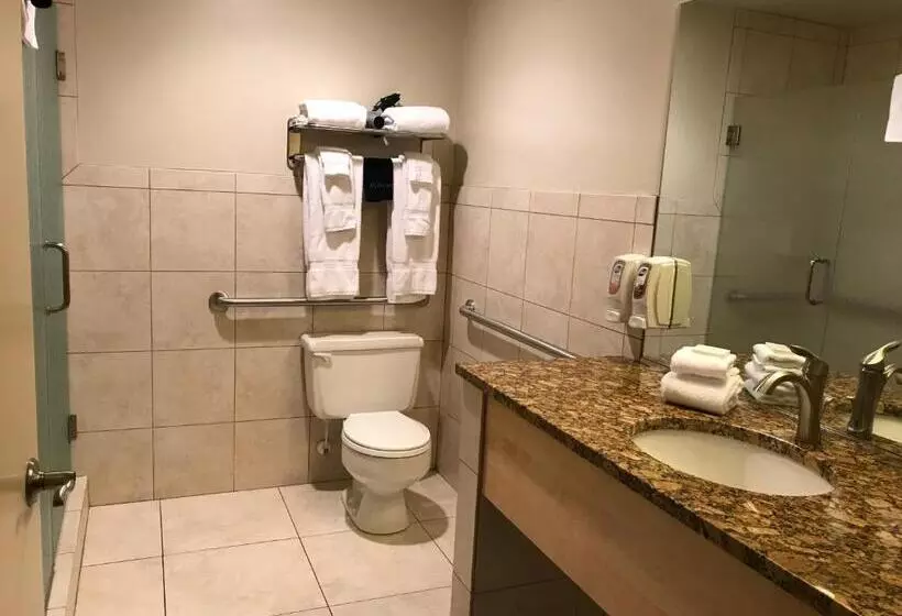اتاق استاندارد برای معلولان, Dinosaur Inn & Suites
