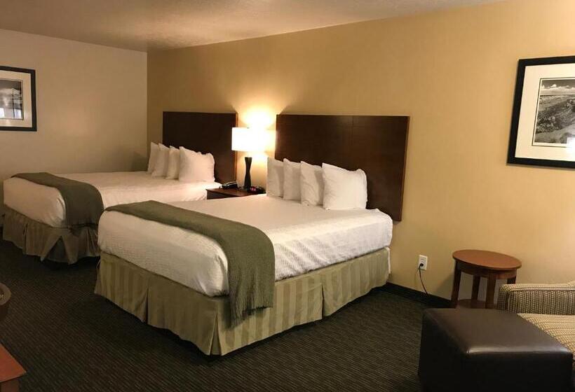 غرفة قياسية لذوى الاحتياجات الخاصة, Dinosaur Inn & Suites