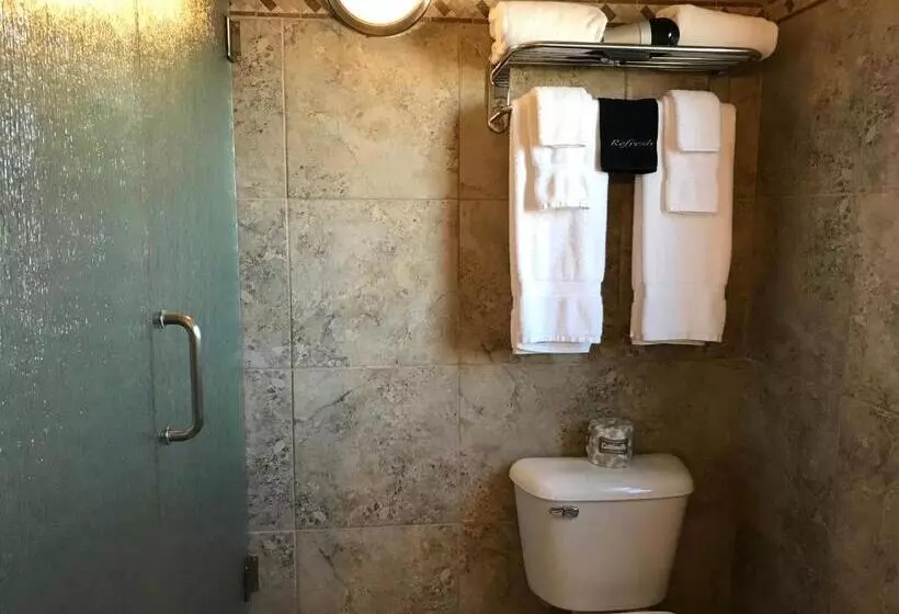 اتاق استاندارد با تخت بزرگ, Dinosaur Inn & Suites