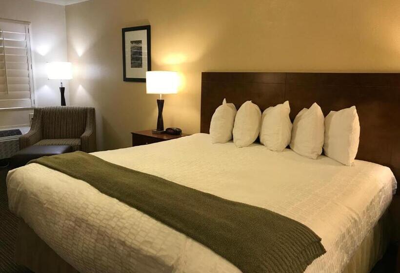 스탠다드 룸 킹사이즈 침대, Dinosaur Inn & Suites
