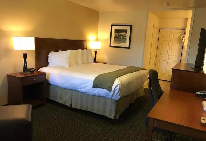 اتاق استاندارد با تخت بزرگ, Dinosaur Inn & Suites