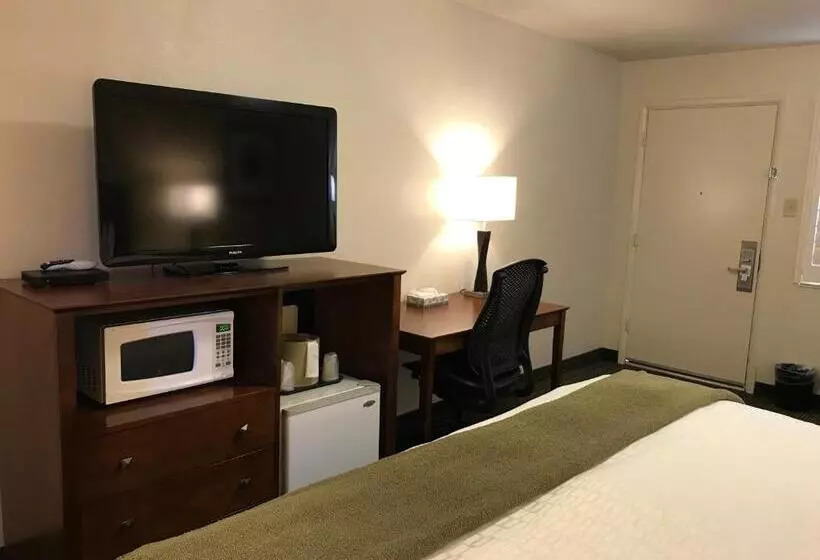 اتاق استاندارد با تخت بزرگ, Dinosaur Inn & Suites