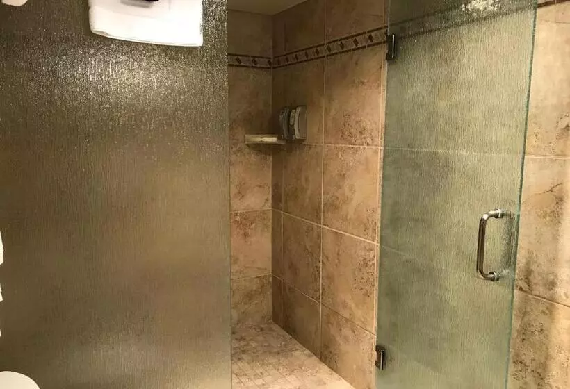 سوئیت با تخت بزرگ, Dinosaur Inn & Suites