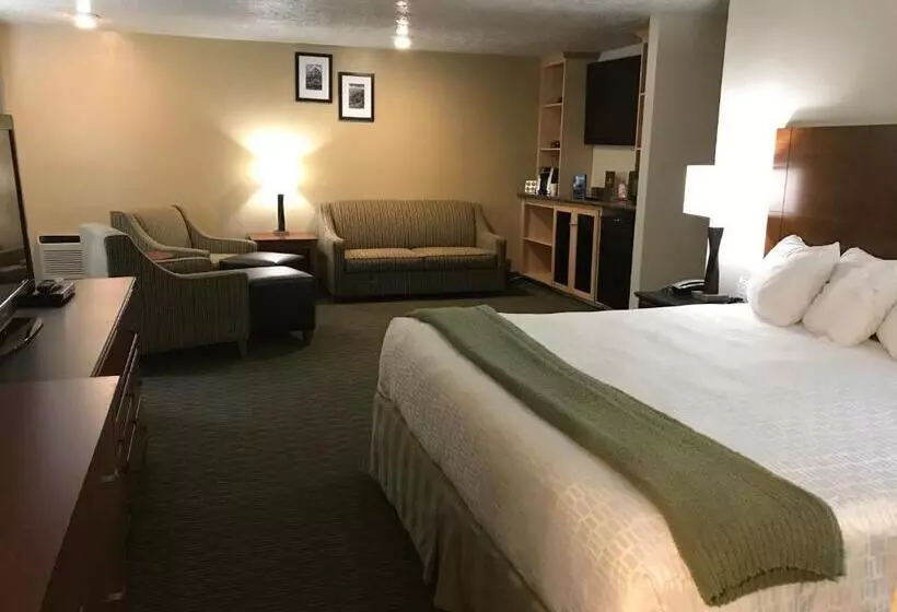 سوئیت با تخت بزرگ, Dinosaur Inn & Suites