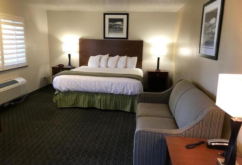 غرفة ديلوكس سرير كينج, Dinosaur Inn & Suites