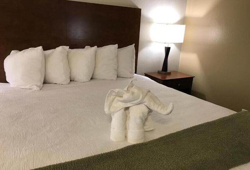 غرفة ديلوكس سرير كينج, Dinosaur Inn & Suites