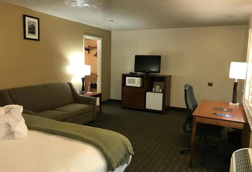 غرفة ديلوكس سرير كينج, Dinosaur Inn & Suites