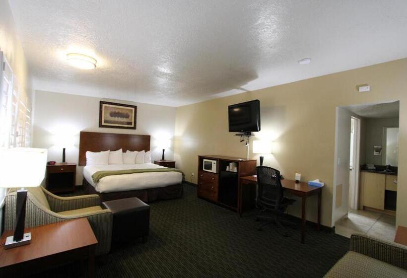 غرفة ديلوكس سرير كينج, Dinosaur Inn & Suites