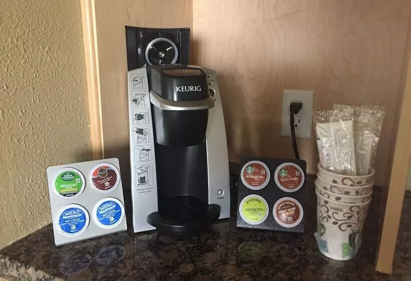 اتاق لوکس با تخت بزرگ, Dinosaur Inn & Suites