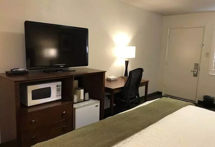 اتاق لوکس با تخت بزرگ, Dinosaur Inn & Suites