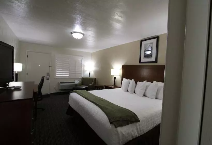 اتاق لوکس با تخت بزرگ, Dinosaur Inn & Suites