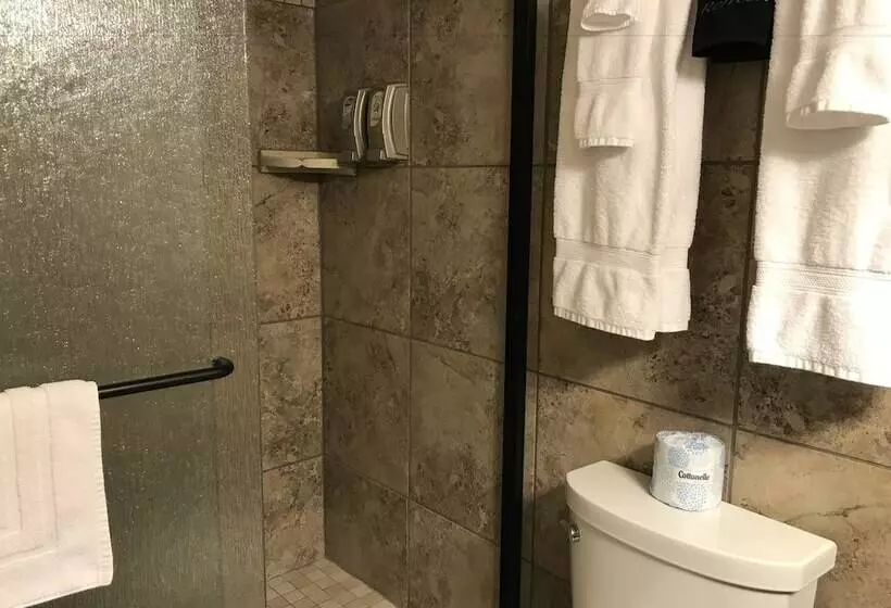اتاق لوکس با تخت بزرگ, Dinosaur Inn & Suites