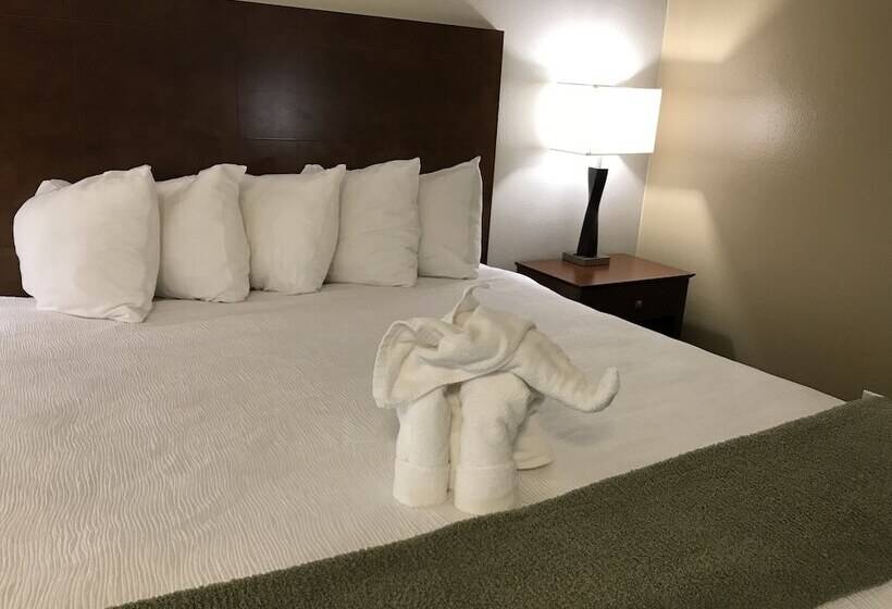 غرفة ديلوكس سرير كينج, Dinosaur Inn & Suites