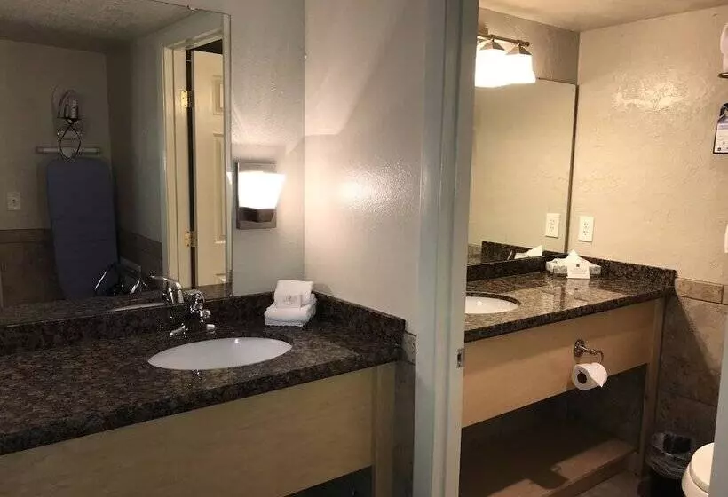 اتاق لوکس, Dinosaur Inn & Suites