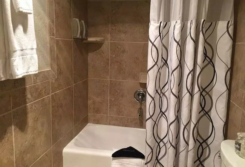 اتاق لوکس, Dinosaur Inn & Suites