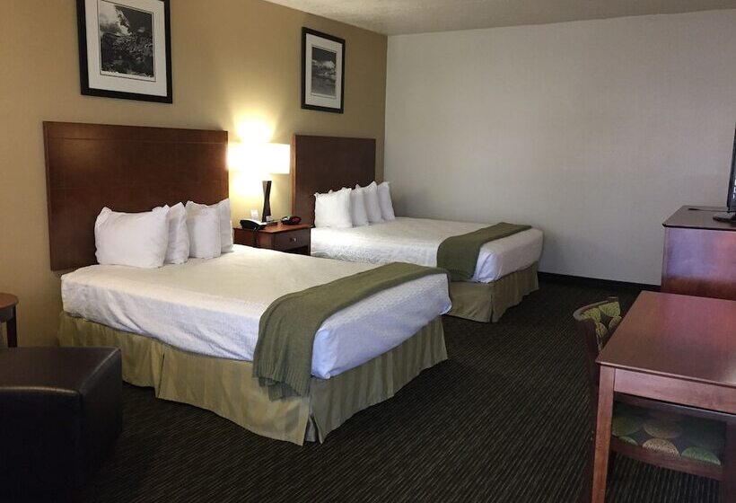 غرفة ديلوكس, Dinosaur Inn & Suites