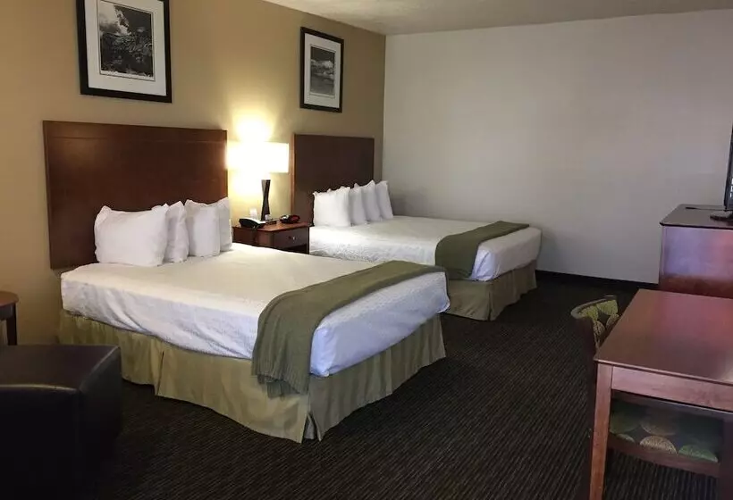 اتاق لوکس, Dinosaur Inn & Suites