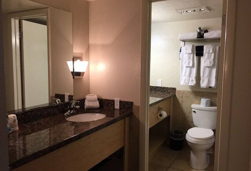 جناح عائلي, Dinosaur Inn & Suites