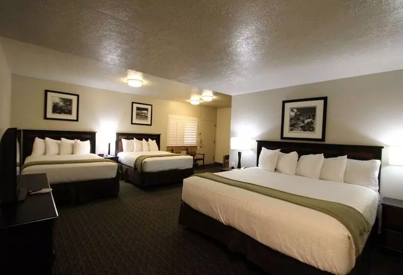 سوییت خانوادگی, Dinosaur Inn & Suites