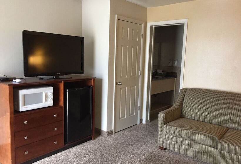 غرفة ديلوكس سرير كينج, Dinosaur Inn & Suites