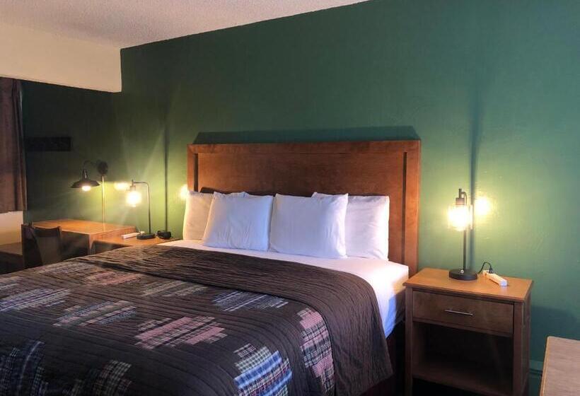 스탠다드 룸 킹사이즈 침대, Great Western Colorado Lodge