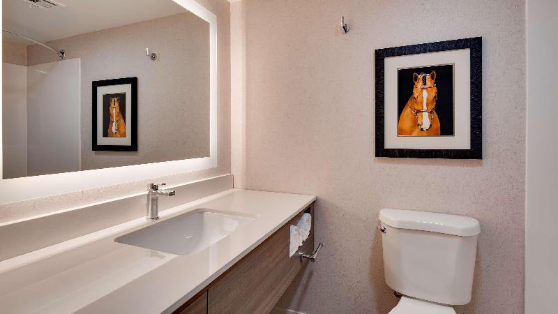 장애인을 위한 스탠다드 룸, Hampton Inn & Suites Craig