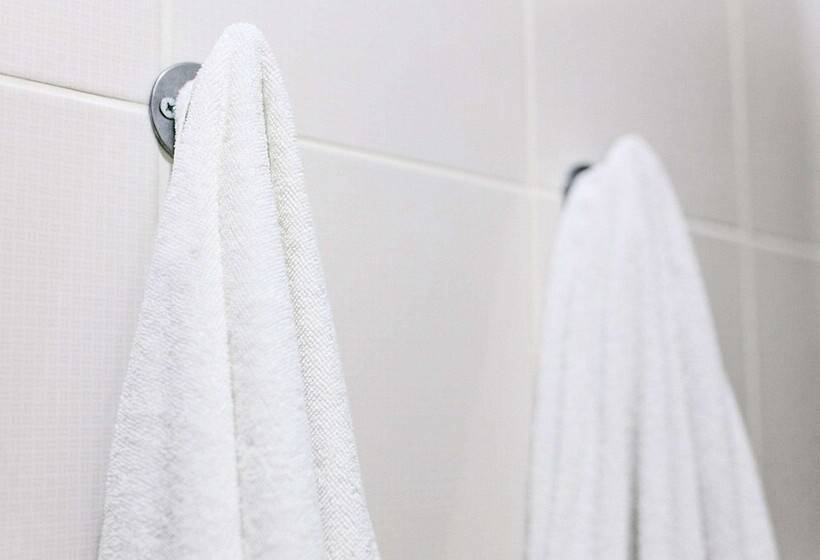 חדר סטנדרט, Magnuson Hotel Fowlerville