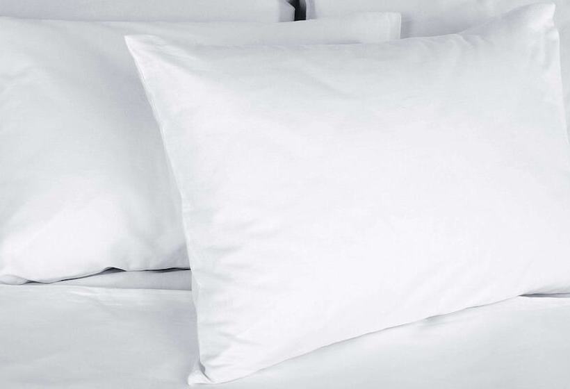 חדר סטנדרט, Magnuson Hotel Fowlerville