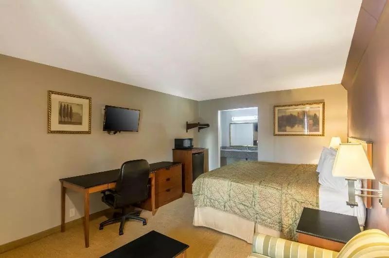 キングサイズベッドのスタンダードルーム, Rodeway Inn