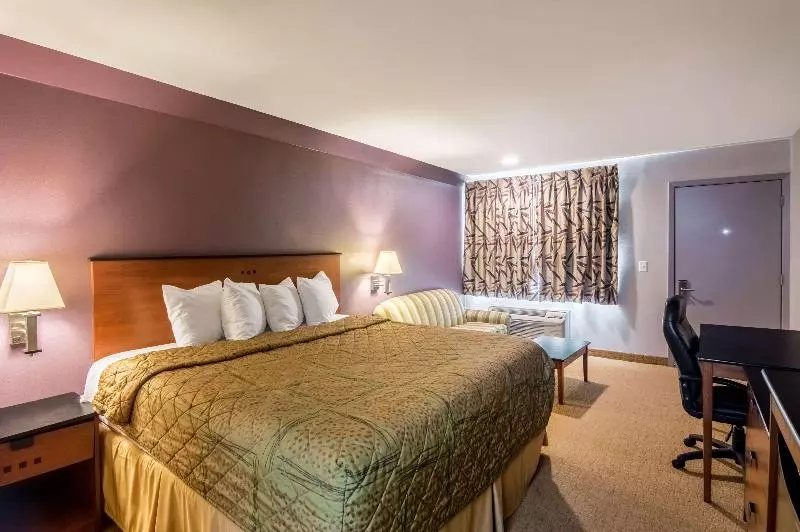 キングサイズベッドのスタンダードルーム, Rodeway Inn