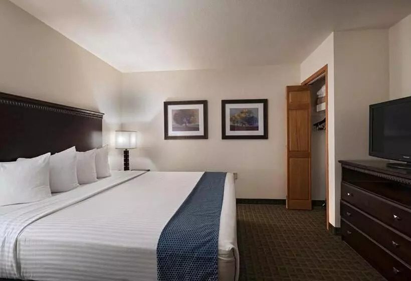 اتاق استاندارد با تخت بزرگ, Stevens Inn A Howard Johnson By Wyndham