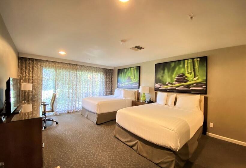 Номер Superior, The Creekside Inn