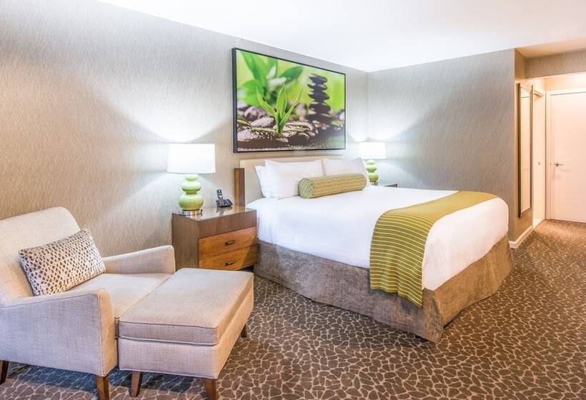 חדר סופריור, The Creekside Inn