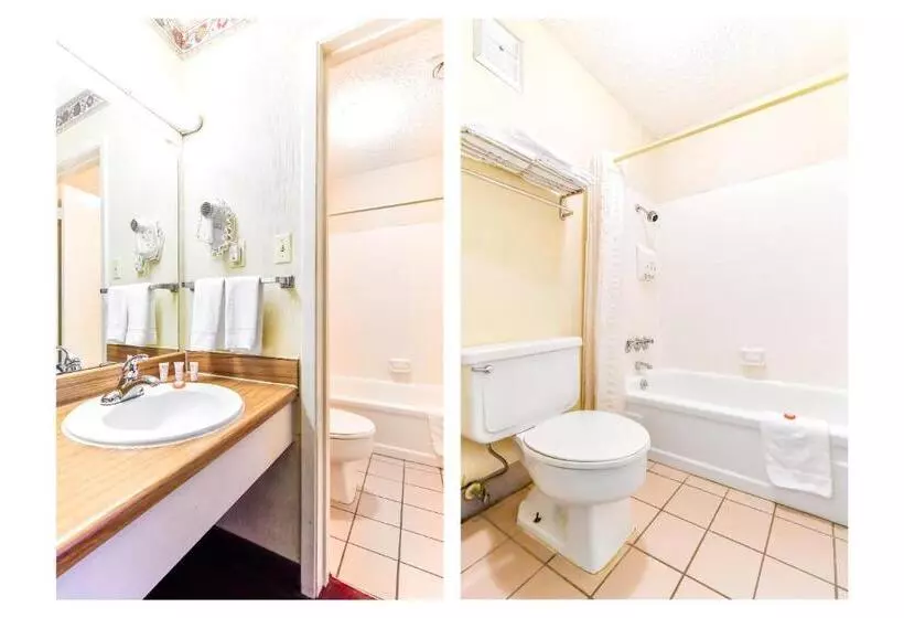 اتاق استاندارد با تخت بزرگ, OYO Hotel Tyler Lindale