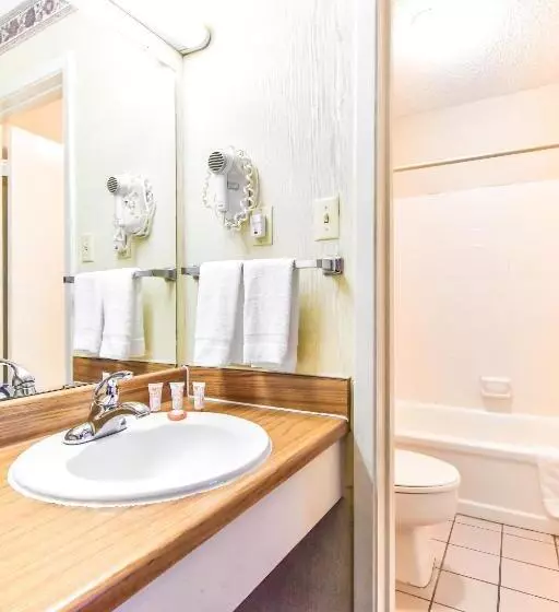اتاق استاندارد با تخت بزرگ, OYO Hotel Tyler Lindale