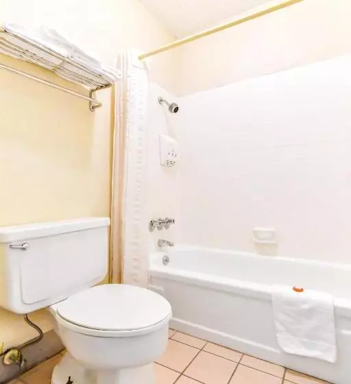 اتاق استاندارد با تخت بزرگ, OYO Hotel Tyler Lindale