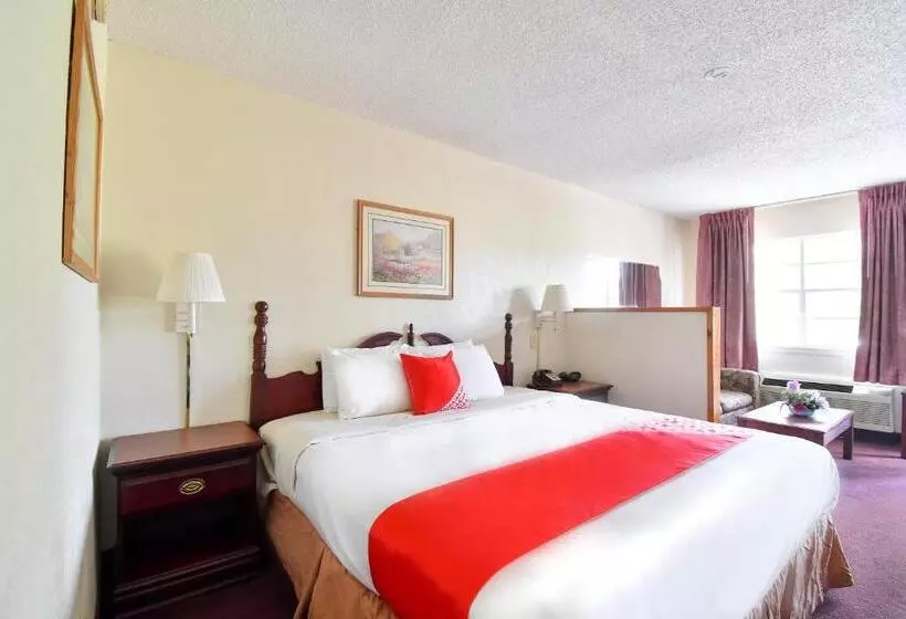 اتاق استاندارد با تخت بزرگ, OYO Hotel Tyler Lindale