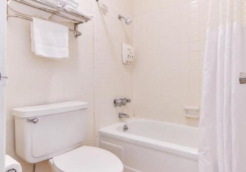 غرفة بريميوم, OYO Hotel Tyler Lindale