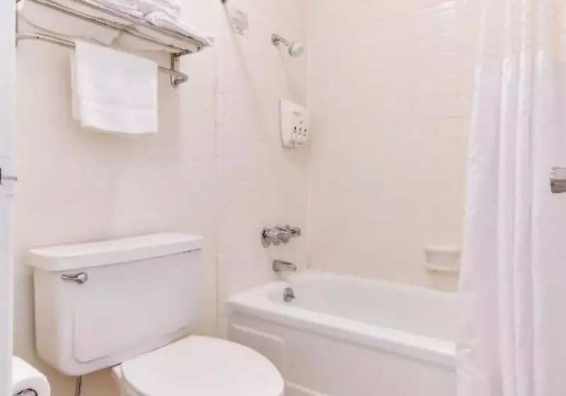 اتاق پرمیوم, OYO Hotel Tyler Lindale