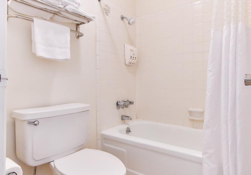 스탠다드 룸, OYO Hotel Tyler Lindale