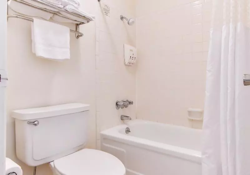 اتاق استاندارد, OYO Hotel Tyler Lindale