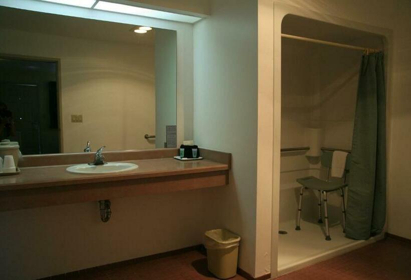 غرفة قياسية سرير كينج, Black Canyon Motel