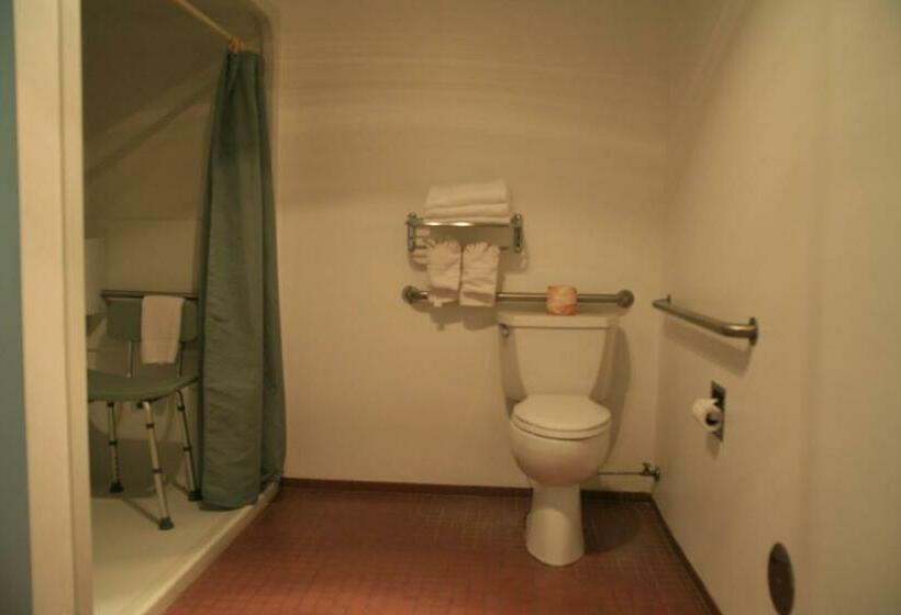 غرفة قياسية سرير كينج, Black Canyon Motel